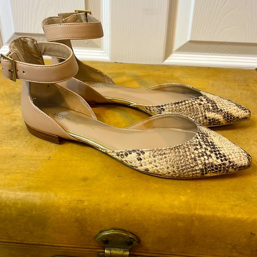 Arturo Chiang shoes strapped sandal flats size 8 worn once